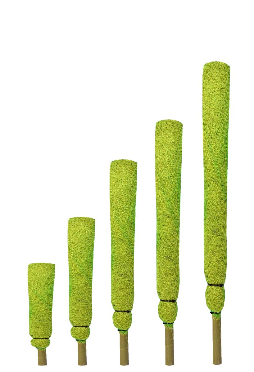 Moistick For Money Plants, Coco Pole Coir Stick for Indoor, House and